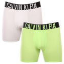 2PACK Boxers para homem Calvin Klein multicolorido (NB2603A-C2D)