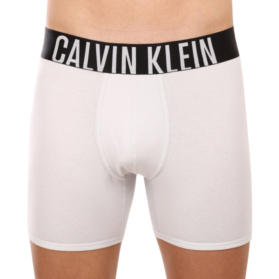 2PACK Boxers para homem Calvin Klein multicolorido (NB2603A-C2D)