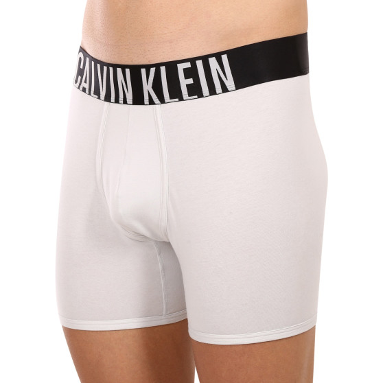 2PACK Boxers para homem Calvin Klein multicolorido (NB2603A-C2D)