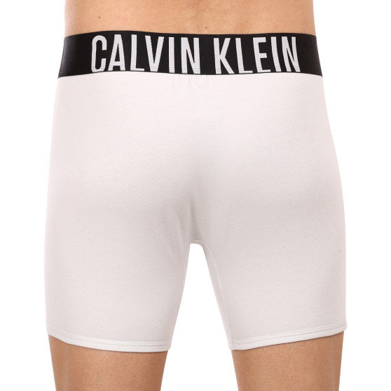 2PACK Boxers para homem Calvin Klein multicolorido (NB2603A-C2D)