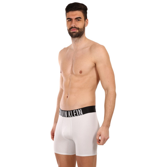 2PACK Boxers para homem Calvin Klein multicolorido (NB2603A-C2D)