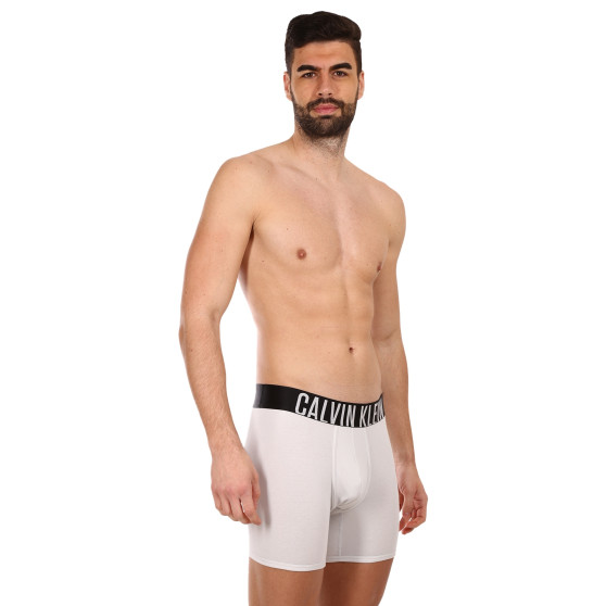 2PACK Boxers para homem Calvin Klein multicolorido (NB2603A-C2D)