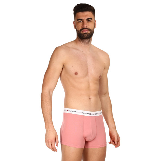 3PACK Boxers para homem Tommy Hilfiger multicolorido (UM0UM02761 0R4)