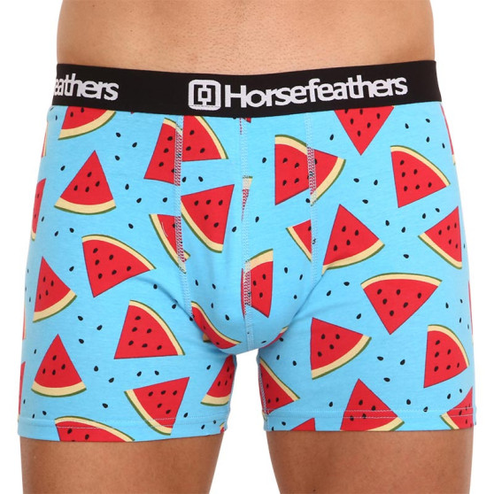 3PACK Boxers para homem Horsefeathers Sidney (AM70Y164BD)