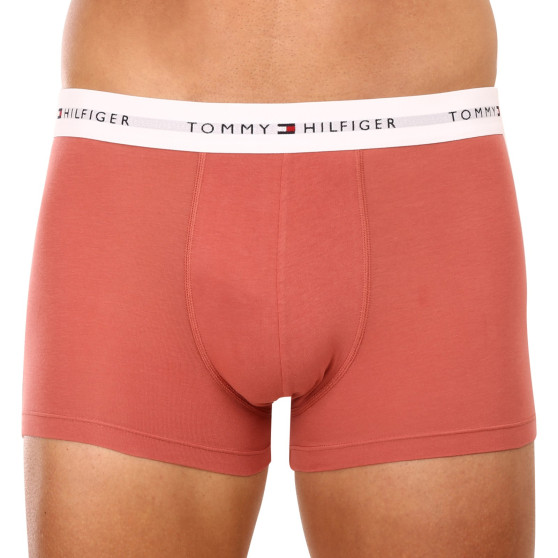 3PACK Boxers para homem Tommy Hilfiger multicolorido (UM0UM02761 0TF)