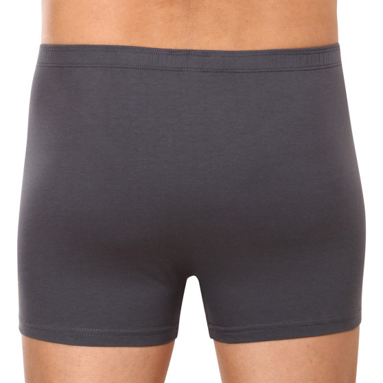 Boxers para homem Gino cinzento (73113)