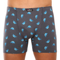 Boxers para homem Gino cinzento (74150)