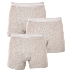 3PACK Boxers para homem Calvin Klein cinzento (U2662G-080)