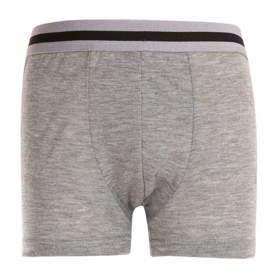 Boxers para criança Gianvaglia grey (023)