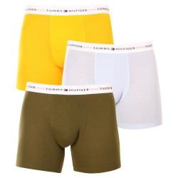 3PACK Boxers para homem Tommy Hilfiger multicolorido (UM0UM02941 0W8)