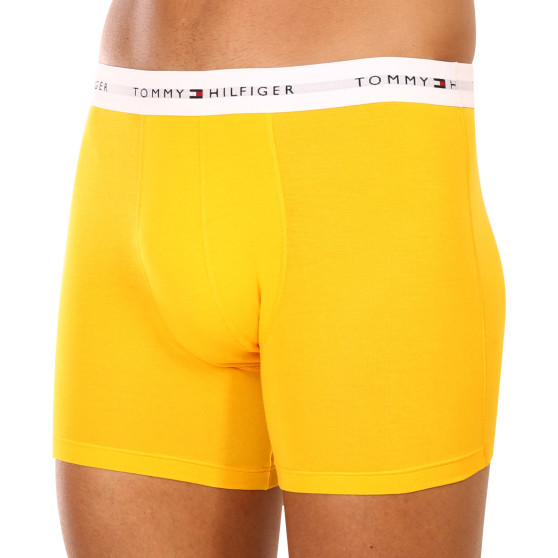 3PACK Boxers para homem Tommy Hilfiger multicolorido (UM0UM02941 0W8)