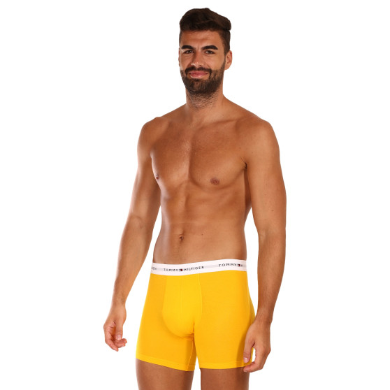 3PACK Boxers para homem Tommy Hilfiger multicolorido (UM0UM02941 0W8)