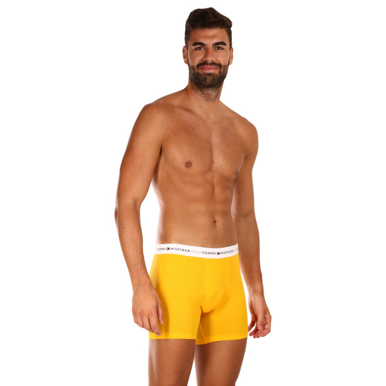 3PACK Boxers para homem Tommy Hilfiger multicolorido (UM0UM02941 0W8)