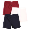 3PACK Boxers para homem Tommy Hilfiger multicolorido (UM0UM02848 0XU)