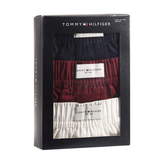 3PACK Boxers para homem Tommy Hilfiger multicolorido (UM0UM02848 0XU)