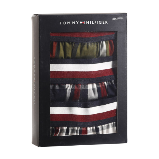 3PACK Boxers para homem Tommy Hilfiger multicolorido (UM0UM03042 0SW)