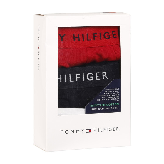 3PACK Boxers para homem Tommy Hilfiger multicolorido (UM0UM02203 0WS)