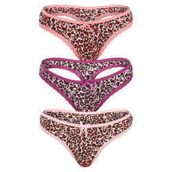 3PACK tanga feminina Fine woman multicolorido (808-B)