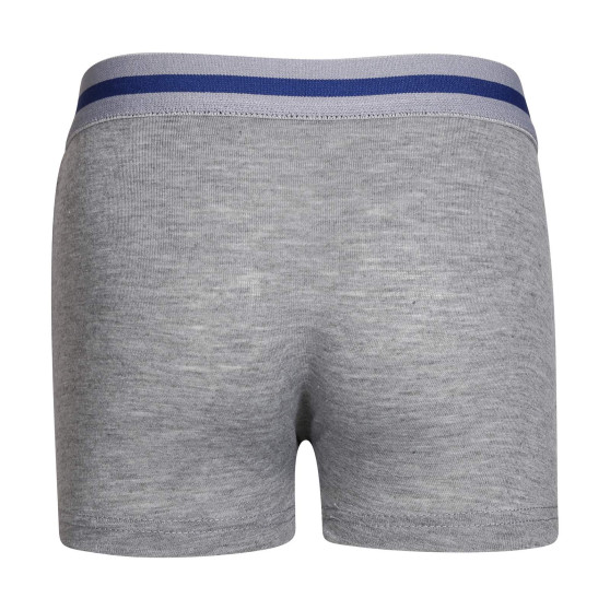 5PACK Boxers para criança Gianvaglia multicolorido (023)