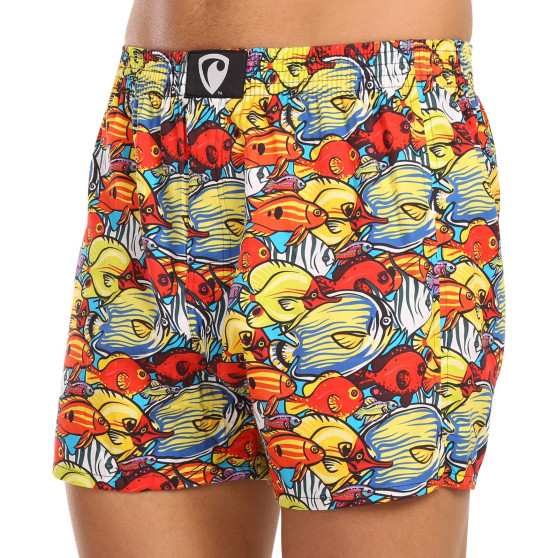 Boxers para homem Represent exclusivo Ali Aquarium Traffic (R3M-BOX-0630)