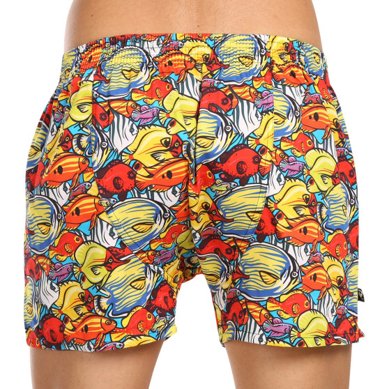 Boxers para homem Represent exclusivo Ali Aquarium Traffic (R3M-BOX-0630)