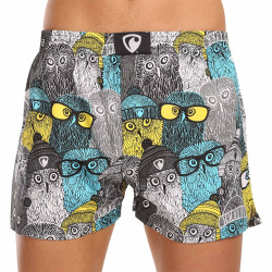 Boxers para homem Represent exclusivo Ali Owls Cool (R3M-BOX-0642)