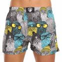 Boxers para homem Represent exclusivo Ali Owls Cool (R3M-BOX-0642)