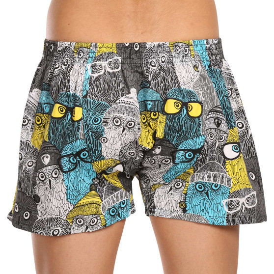 Boxers para homem Represent exclusivo Ali Owls Cool (R3M-BOX-0642)