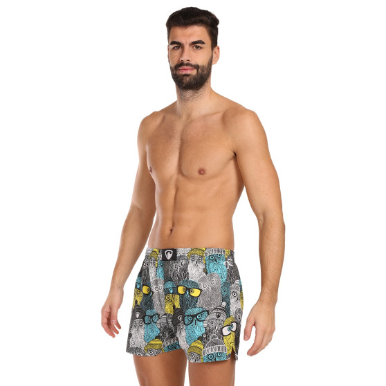 Boxers para homem Represent exclusivo Ali Owls Cool (R3M-BOX-0642)