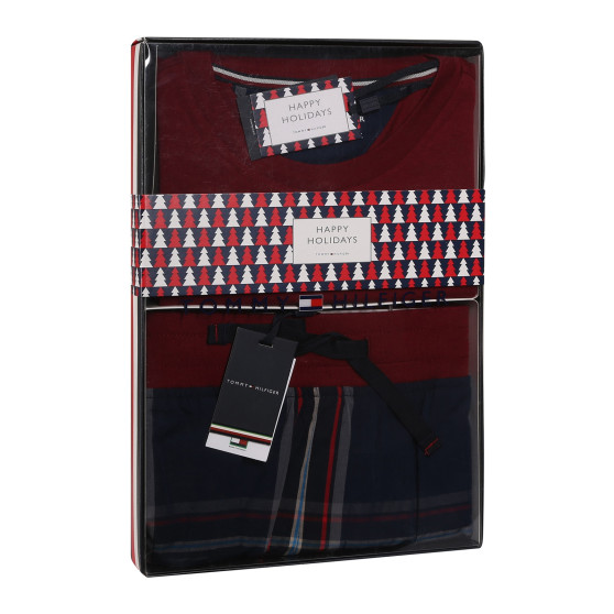 Pijama para homem Tommy Hilfiger multicolorido (UM0UM02995 0WQ)