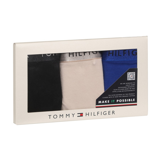 3PACK Tanga para mulher Tommy Hilfiger multicolorido (UW0UW04889 0R1)