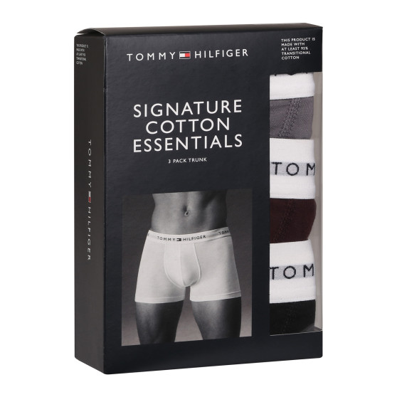 3PACK Boxers para homem Tommy Hilfiger multicolorido (UM0UM02761 0UJ)