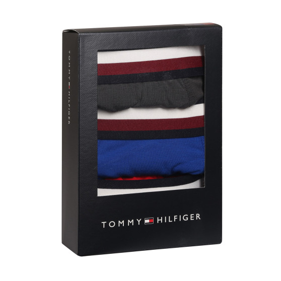 3PACK Boxers para homem Tommy Hilfiger multicolorido (UM0UM03035 0UG)