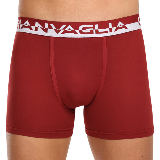 5PACK Boxers para homem Gianvaglia multicolorido (GVG-5011)