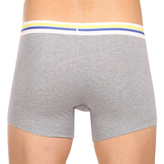 2PACK Boxers para homem Levis multicolorido (701222843 009)