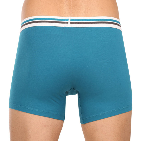 2PACK Boxers para homem Levis multicolorido (701222843 010)