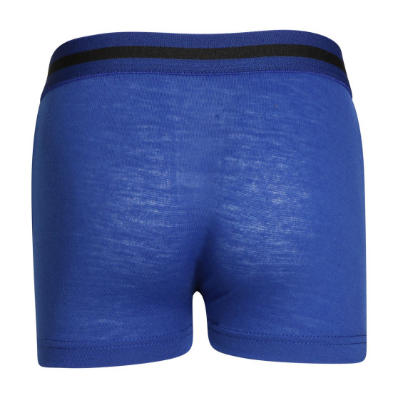 Boxers para criança Gianvaglia azul (023)