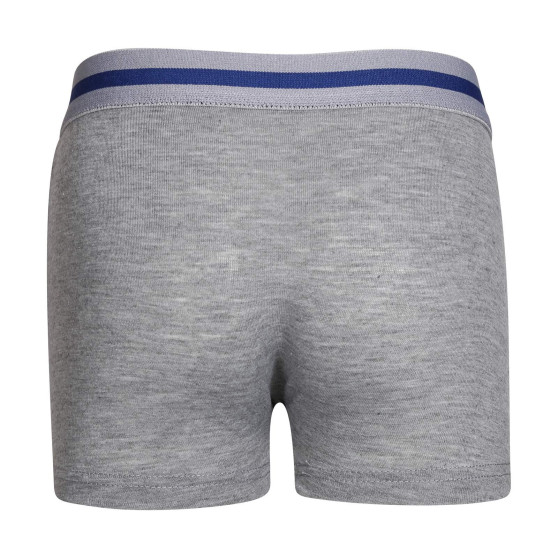 Boxers para criança Gianvaglia grey (023)