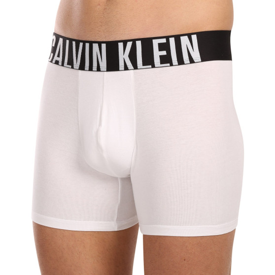 3PACK Boxers para homem Calvin Klein multicolorido (NB3609A-MP1)