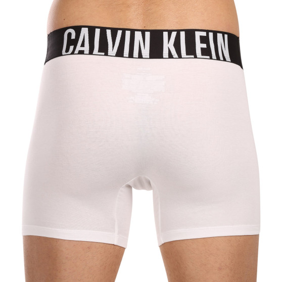 3PACK Boxers para homem Calvin Klein multicolorido (NB3609A-MP1)