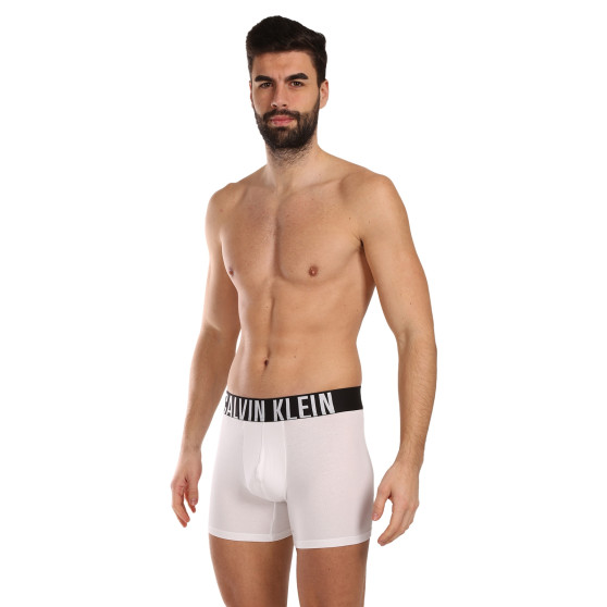 3PACK Boxers para homem Calvin Klein multicolorido (NB3609A-MP1)