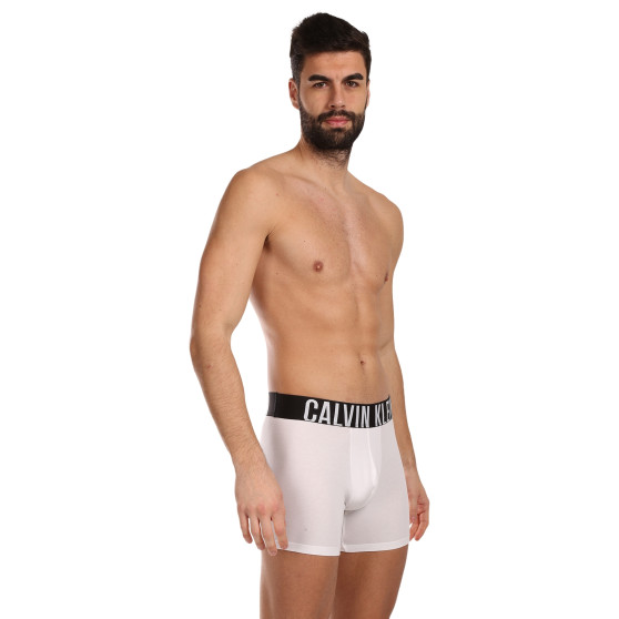 3PACK Boxers para homem Calvin Klein multicolorido (NB3609A-MP1)