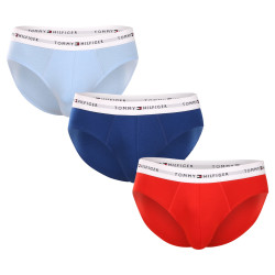 3PACK cuecas para homem Tommy Hilfiger multicolorido (UM0UM02764 0XZ)