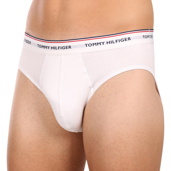 3PACK cuecas para homem Tommy Hilfiger multicolorido (1U87903766 004)