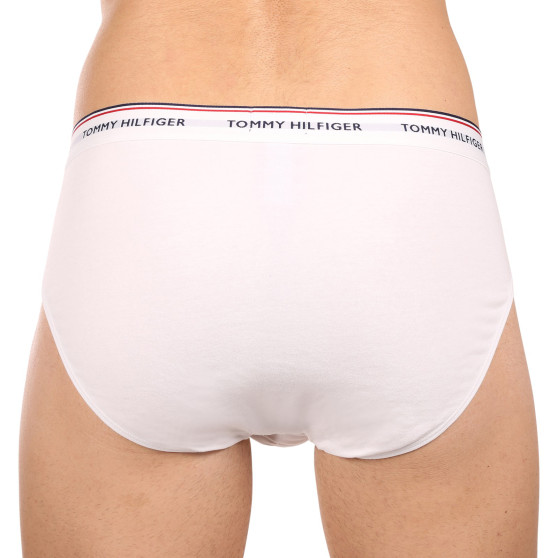 3PACK cuecas para homem Tommy Hilfiger multicolorido (1U87903766 004)