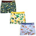 3PACK Boxers alegres para homem Dedoles (19813751563)